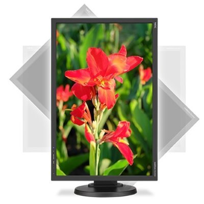   NEC 24" E245WMi-BK - #1