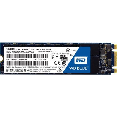   SSD Western Digital 250Gb SATA III WDS250G2B0B WD Blue M.2